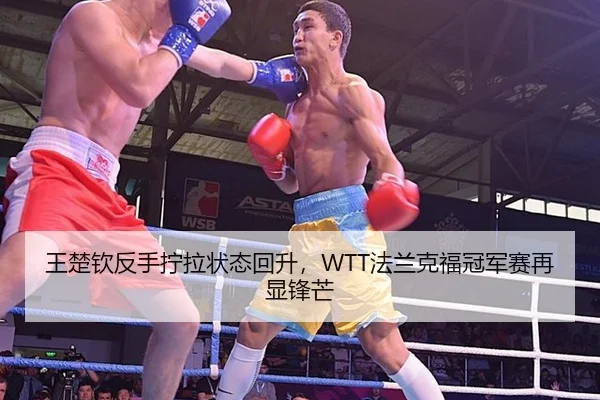 王楚钦反手拧拉状态回升，WTT法兰克福冠军赛再显锋芒