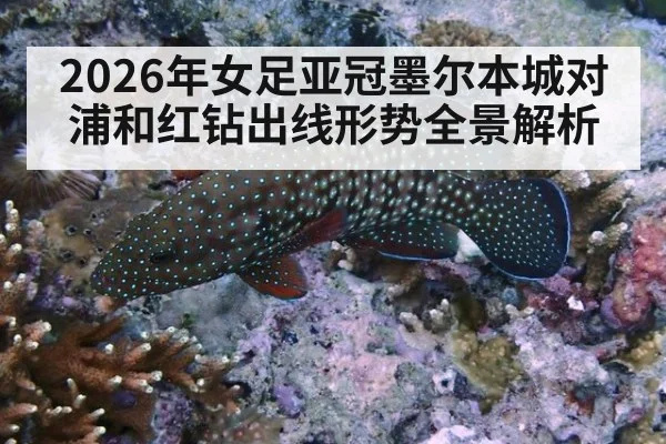 2026年女足亚冠墨尔本城对浦和红钻出线形势全景解析